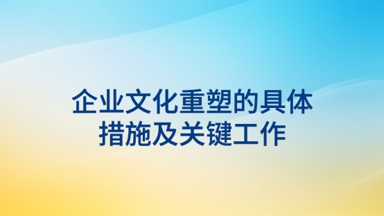 必发联盟重塑的具体措施及关键工作